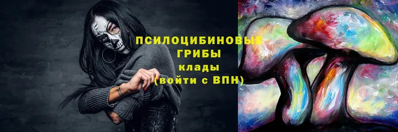 Галлюциногенные грибы ЛСД  blacksprut ONION  Дмитров 